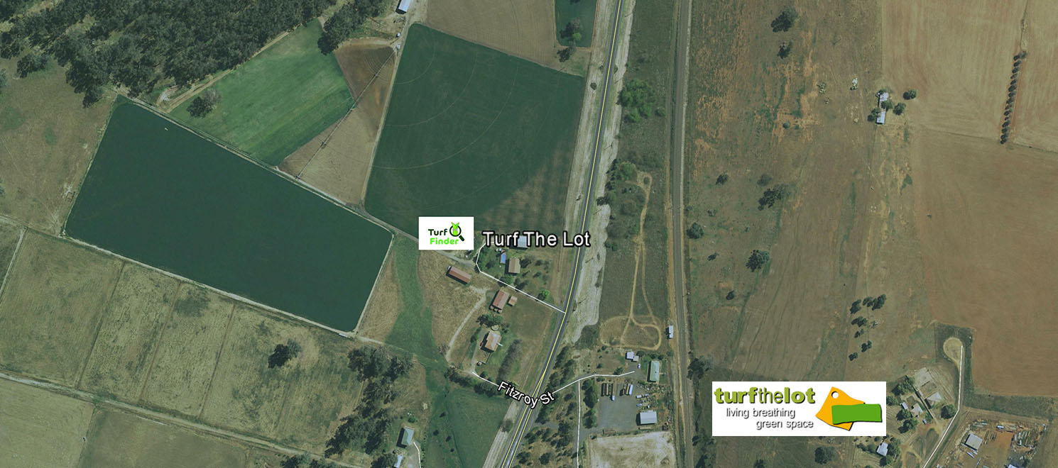 Turf Finder Turf The Lot